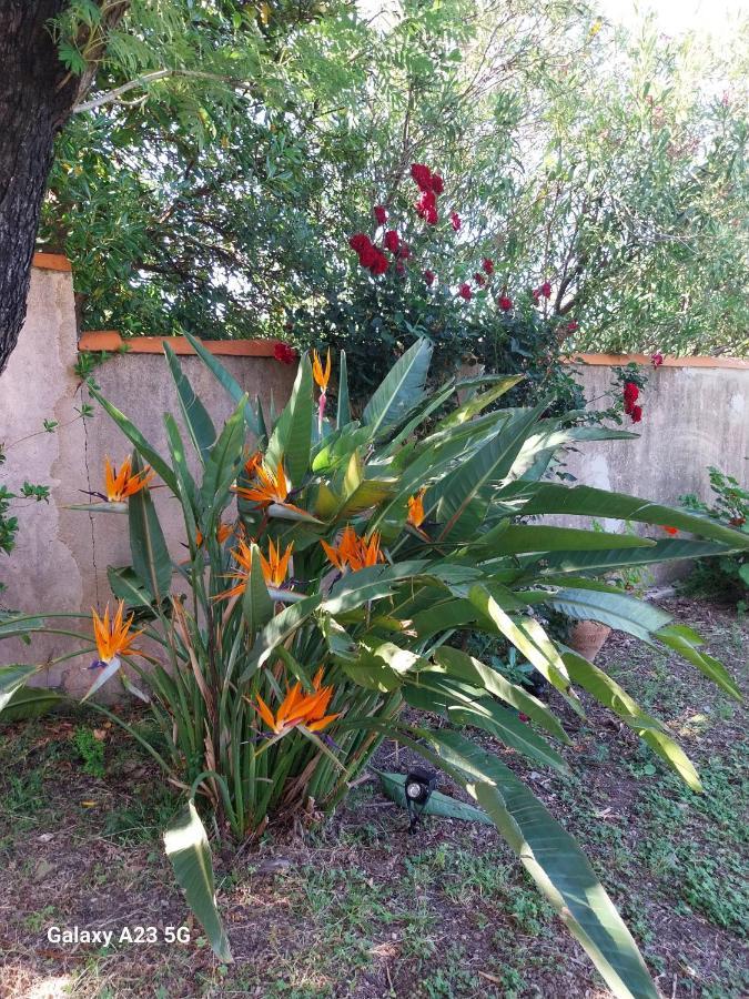 Chez Isabelle Bed & Breakfast Luri Екстериор снимка