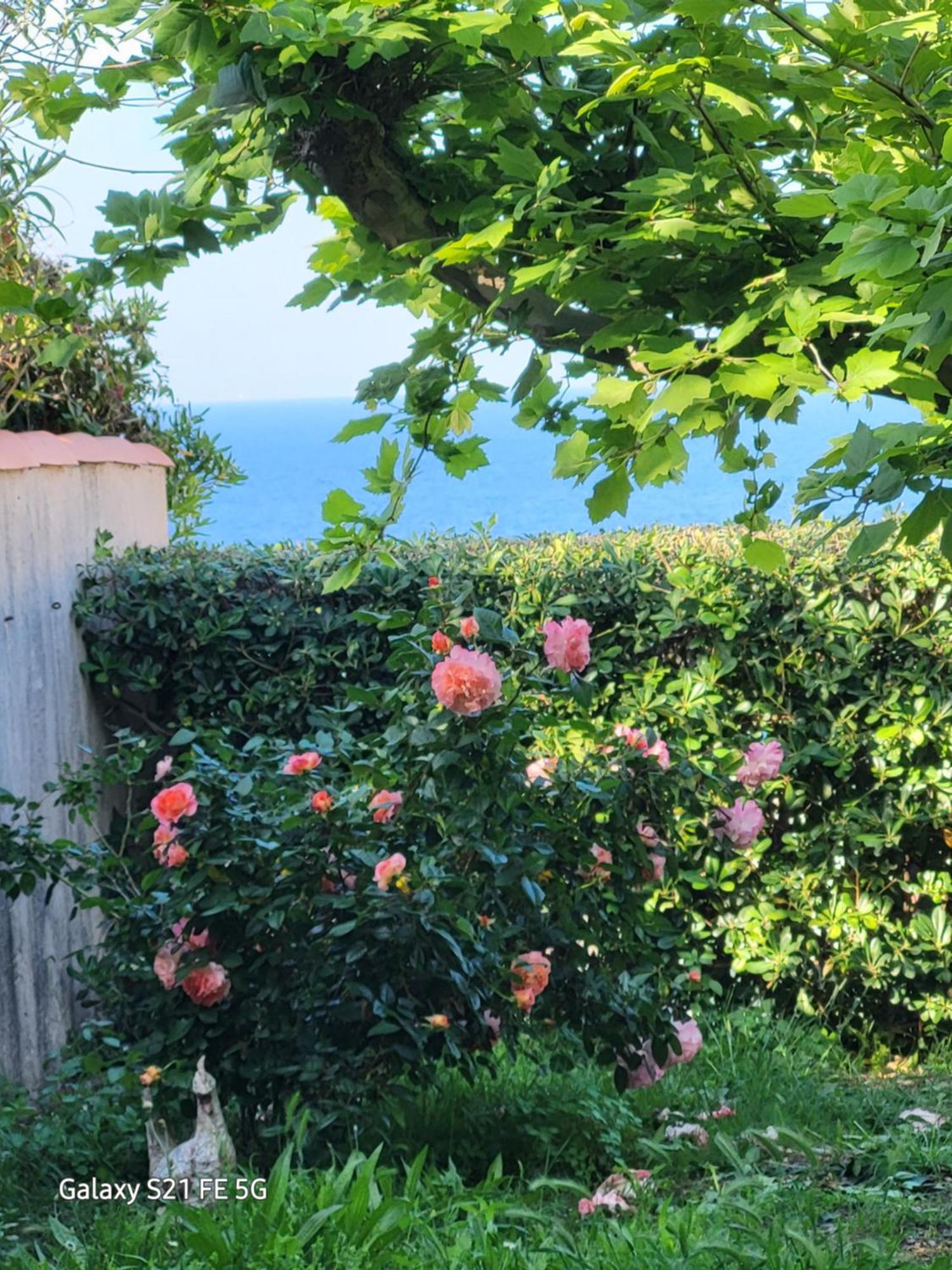 Chez Isabelle Bed & Breakfast Luri Екстериор снимка